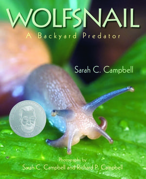 Wolfsnail: A Backyard Predator de Sarah C. Campbell