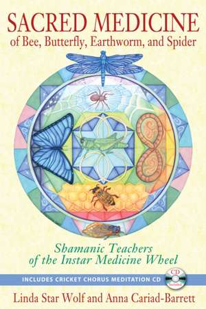 Sacred Medicine of Bee, Butterfly, Earthworm, and Spider de Linda Star Wolf