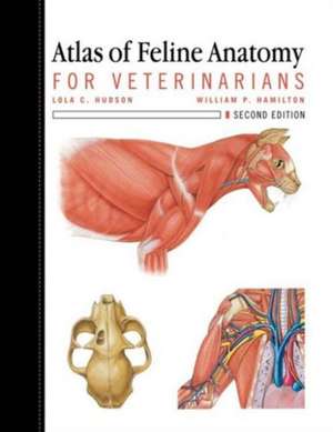 Atlas of Feline Anatomy For Veterinarians de Lola Hudson