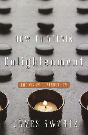 How to Attain Enlightenment: The Vision of Non-Duality de James Swartz