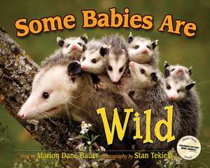 Some Babies Are Wild de Marion Dane Bauer