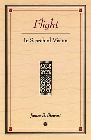 Flight: In Search of Vision de James B. Stewart