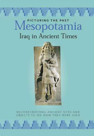 Mesopotamia: Iraq in Ancient Times de Peter Crisp