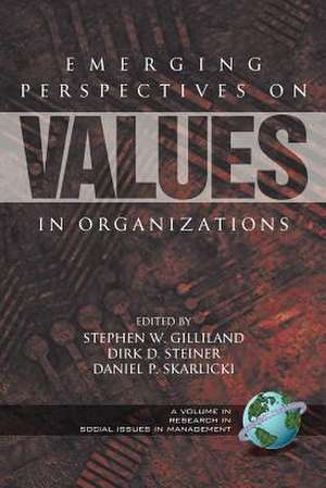 Emerging Perspectives on Values in Organizations (PB) de Dirk Steiner