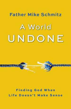 World Undone de Fr Mike Schmitz