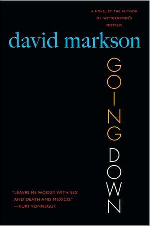 Going Down: A Novel de David Markson