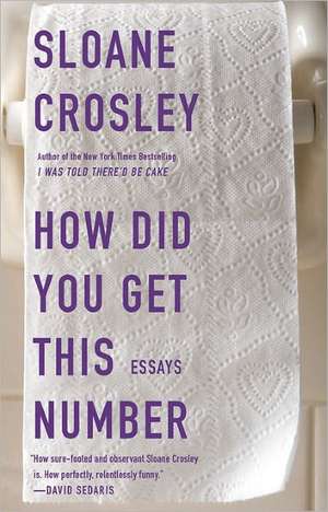 How Did You Get This Number de Sloane Crosley