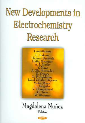 New Developments in Electrochemistry Research de Magdalena Nunez