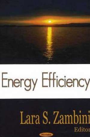 Energy Efficiency de Lara S. Sambini