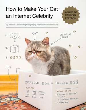 How to Make Your Cat an Internet Celebrity de Patricia Carlin