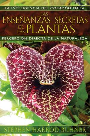 Las Ensenanzas Secretas de las Plantas: La Inteligencia del Corazon en la Percepcion Directa de la Naturaleza de Stephen Harrod Buhner