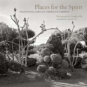 Places for the Spirit de Vaughn Sills