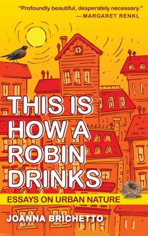 This Is How a Robin Drinks de Joanna Brichetto