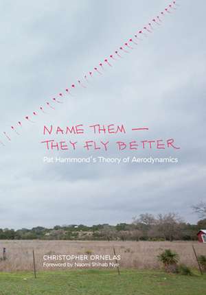 Name Them--They Fly Better: Pat Hammond's Theory of Aerodynamics de Christopher Ornelas