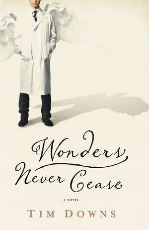 Wonders Never Cease de Tim Downs