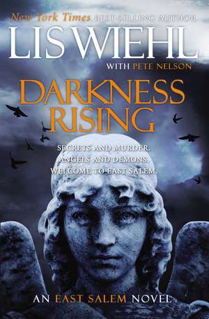 Darkness Rising de Lis Wiehl