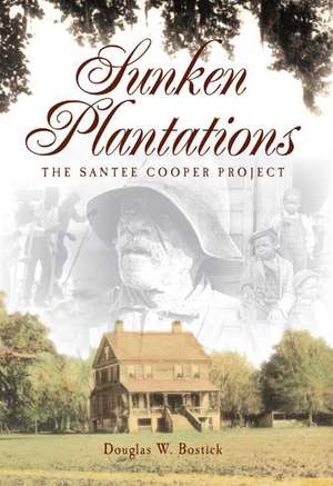 Sunken Plantations: The Santee Cooper Project de Douglas W. Bostick