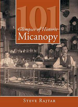 101 Glimpses of Historic Micanopy de Steve Rajtar