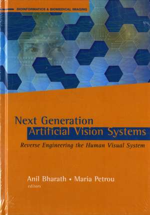 Next Generation Artificial Vision Systems: Reverse Engineering the Human Visual System de Maria Petrou