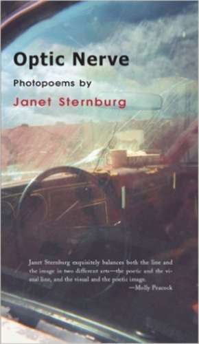 OPTIC NERVE de JANET STERNBURG