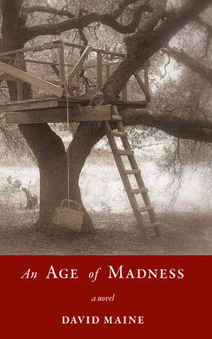 An Age of Madness de David Maine