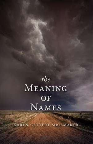 The Meaning of Names de Karen Shoemaker