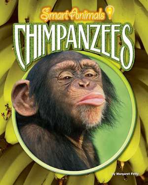 Chimpanzees de Margaret Fetty