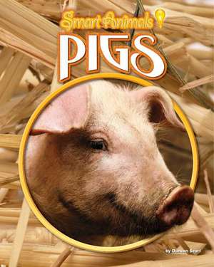 Pigs de Duncan Searl