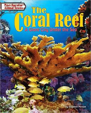 The Coral Reef: A Giant City Under the Sea de Stephen Person