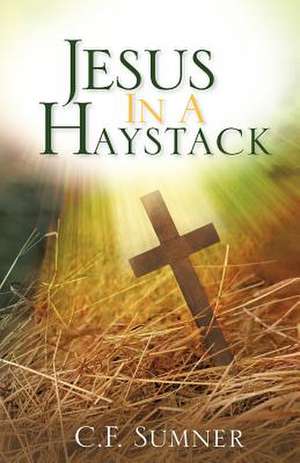 Jesus in a Haystack de C. F. Sumner