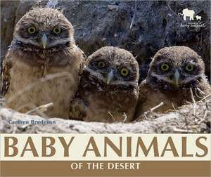 Baby Animals of the Desert de Carmen Bredeson