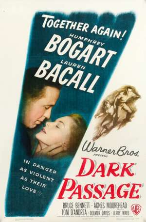 Dark Passage de David Goodis