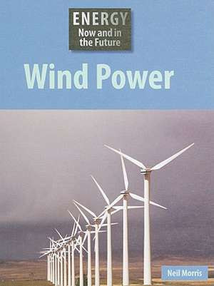 Wind Power de Neil Morris