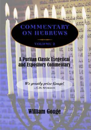 Commentary on Hebrews: Exegetical and Expository - Vol. 2 (PB) de Peter Masters