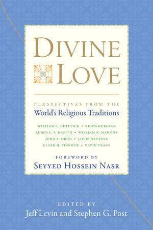 Divine Love – Perspectives from the World`s Religious Traditions de Jeff Levin