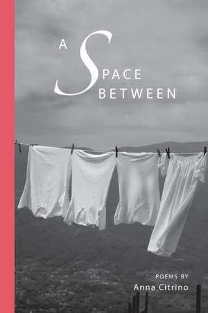 A Space Between de Anna Citrino