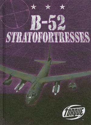 B-52 Stratofortresses de Jack David