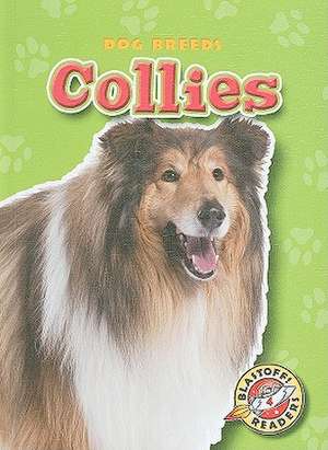 Collies de Sara Green