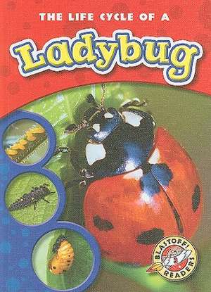 The Life Cycle of a Ladybug de Colleen A. Sexton