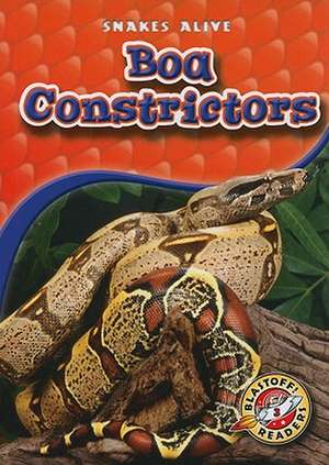 Boa Constrictors de Colleen Sexton