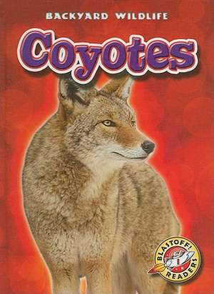 Coyotes de Emily Green