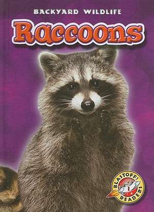 Raccoons de Emily Green