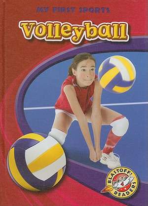 Volleyball de Ray McClellan