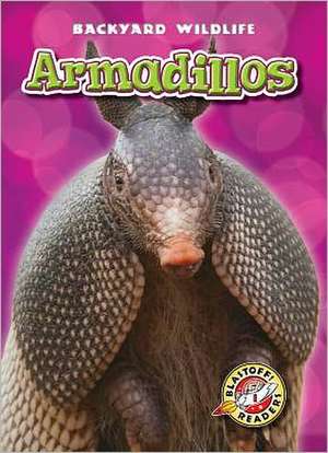 Armadillos de Kari Schuetz