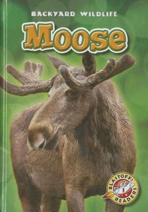 Moose de Kristin Schuetz