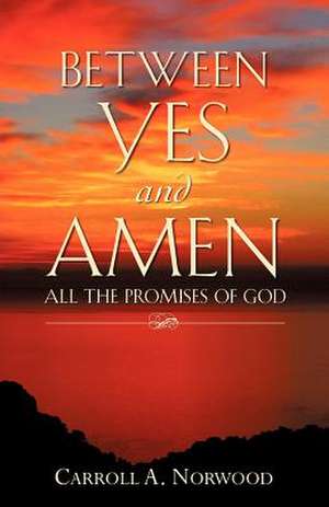 Between Yes and Amen de Carroll A. Norwood