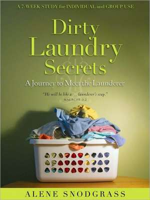 Dirty Laundry Secrets de Alene Snodgrass