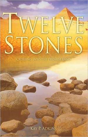 Twelve Stones de Kay P. Adkins