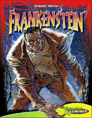 Frankenstein de Mary Wollstonecraft Shelley