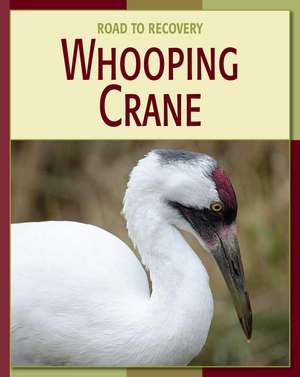 Whooping Crane de Susan H. Gray